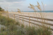 Englewood Florida Parks and Beaches Tour